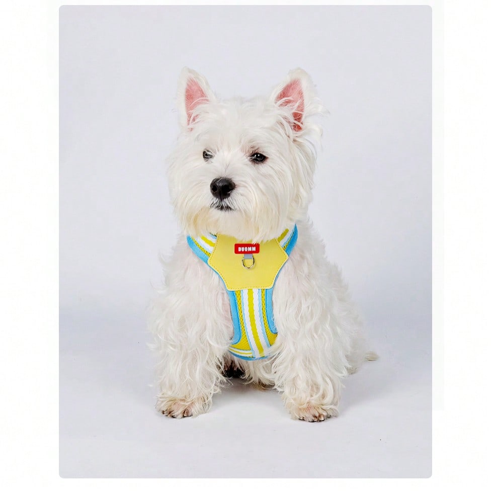 Multicolor reflective vest-style dog harness with padded adjustable straps and front and back leash attachment points for cats and dogs
