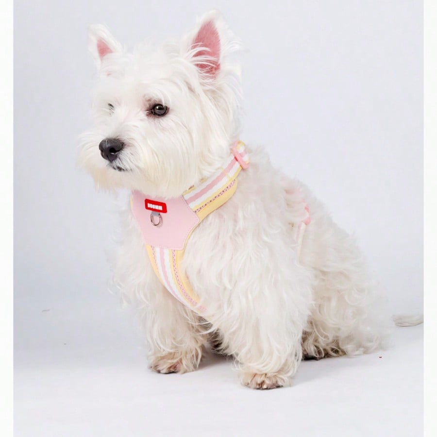 Multicolor reflective vest-style dog harness with padded adjustable straps and front and back leash attachment points for cats and dogs