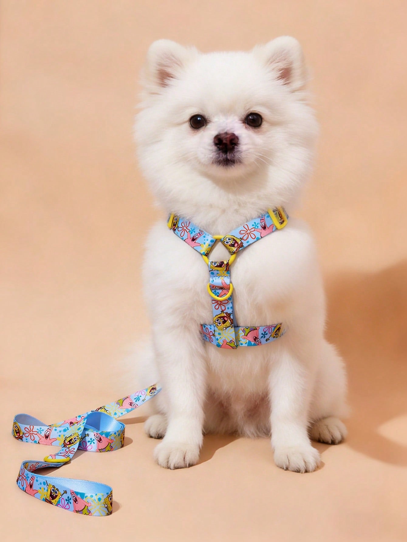 Multicolor cartoon pattern pet collar and leash set with adjustable polyester straps and portable storage bag for cats and dogs
