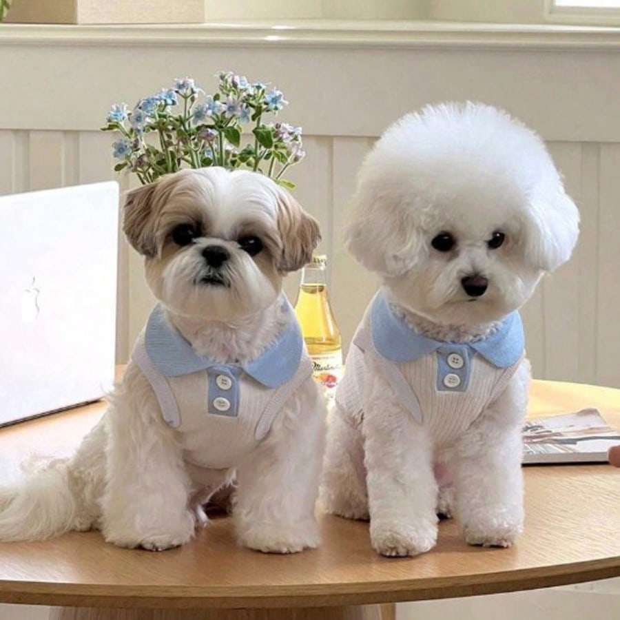 1pc Cat/Dog Summer Thin Polo Shirt, Lapel T-Shirt, Suitable For Munchkin, British Shorthair, Cute Pet Vest, Anti-Shedding