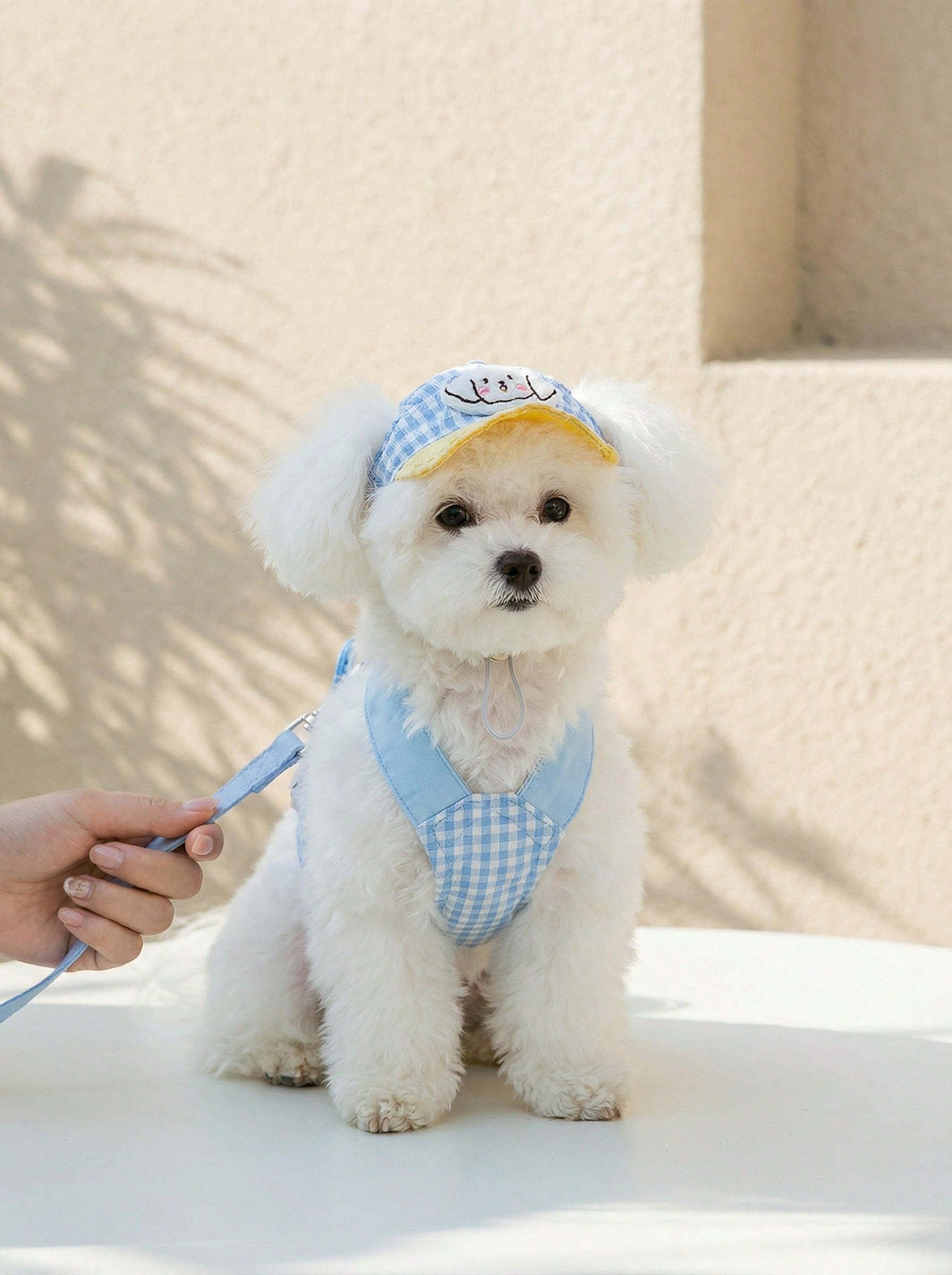 Blue polyester dog harness and leash set with hoodie, adjustable and washable for small to medium dogs and cats