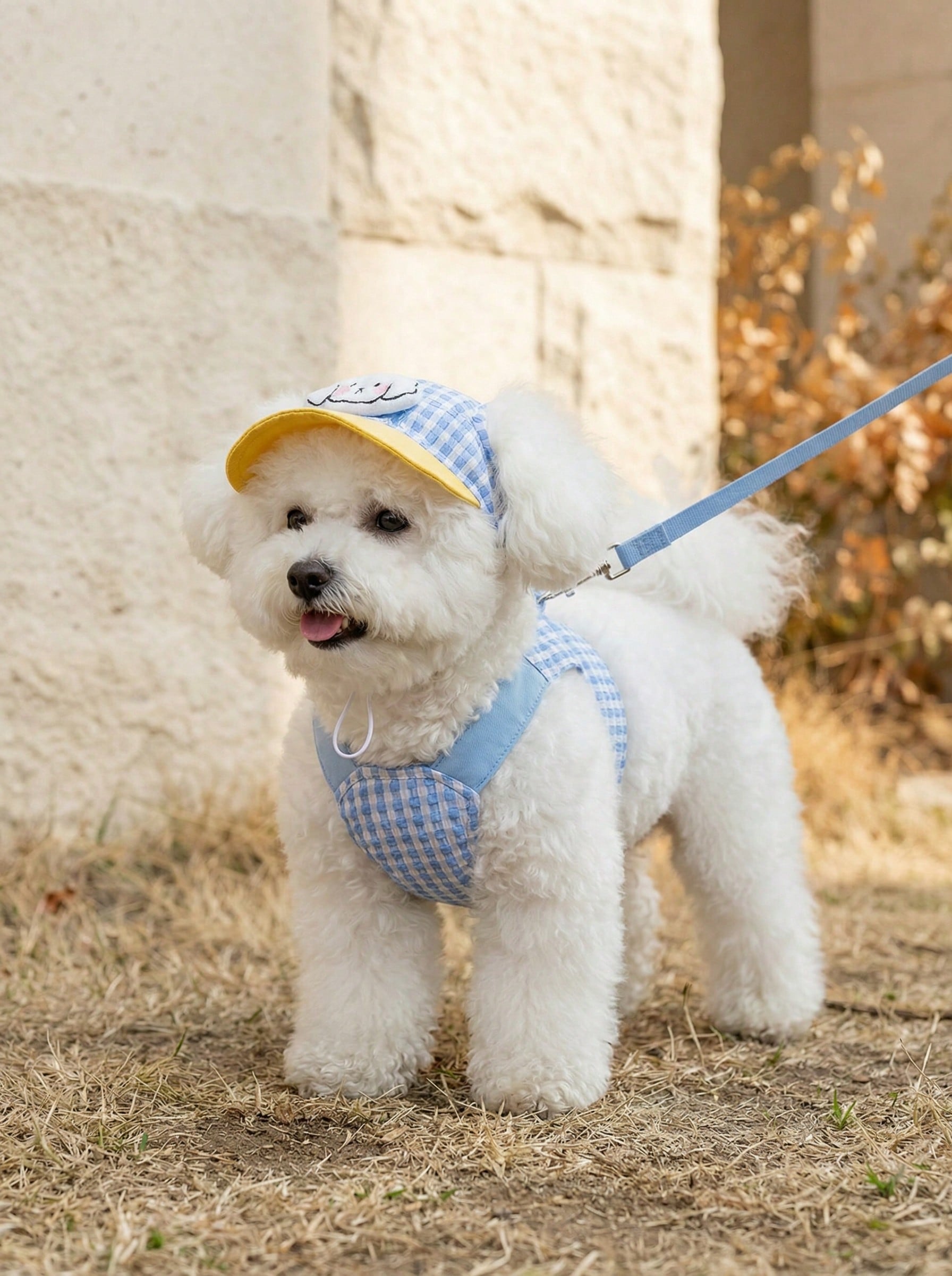 Blue polyester dog harness and leash set with hoodie, adjustable and washable for small to medium dogs and cats