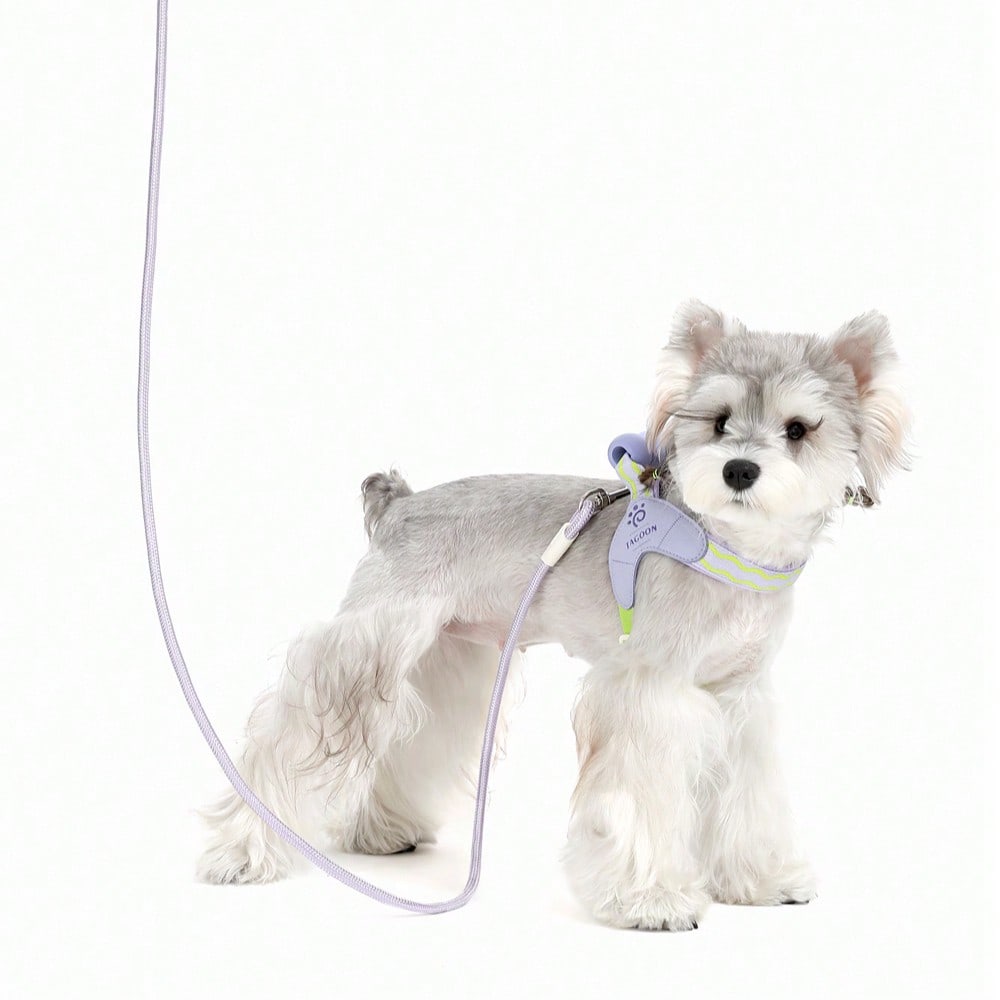Multicolor polyester dog travel saddle harness with soft handle and leash, breathable adjustable design for outdoor walks and travel