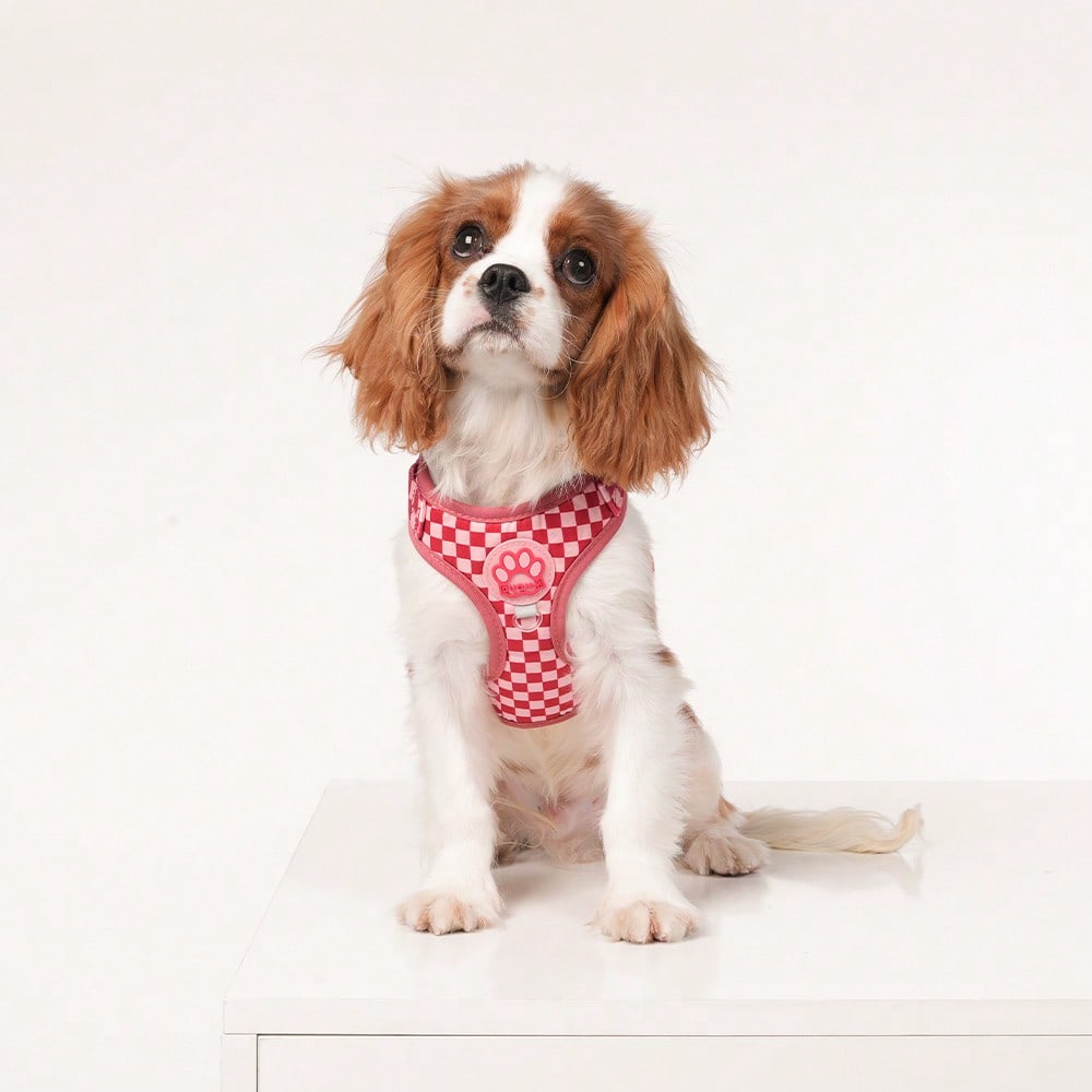 Red plaid polyester pet harness vest with matching leash and paw print decor for small to medium cats and dogs