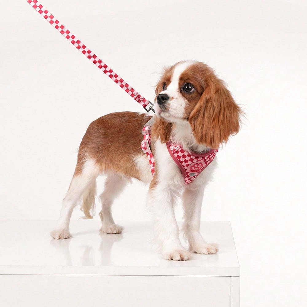 Red plaid polyester pet harness vest with matching leash and paw print decor for small to medium cats and dogs