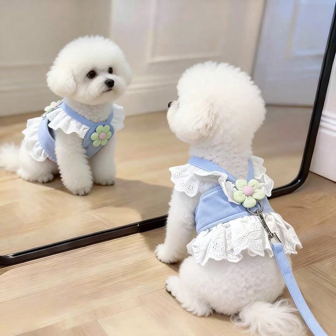 Multicolor floral lace pet harness dress with leash, ruffle edge princess vest outfit for small dogs and cats