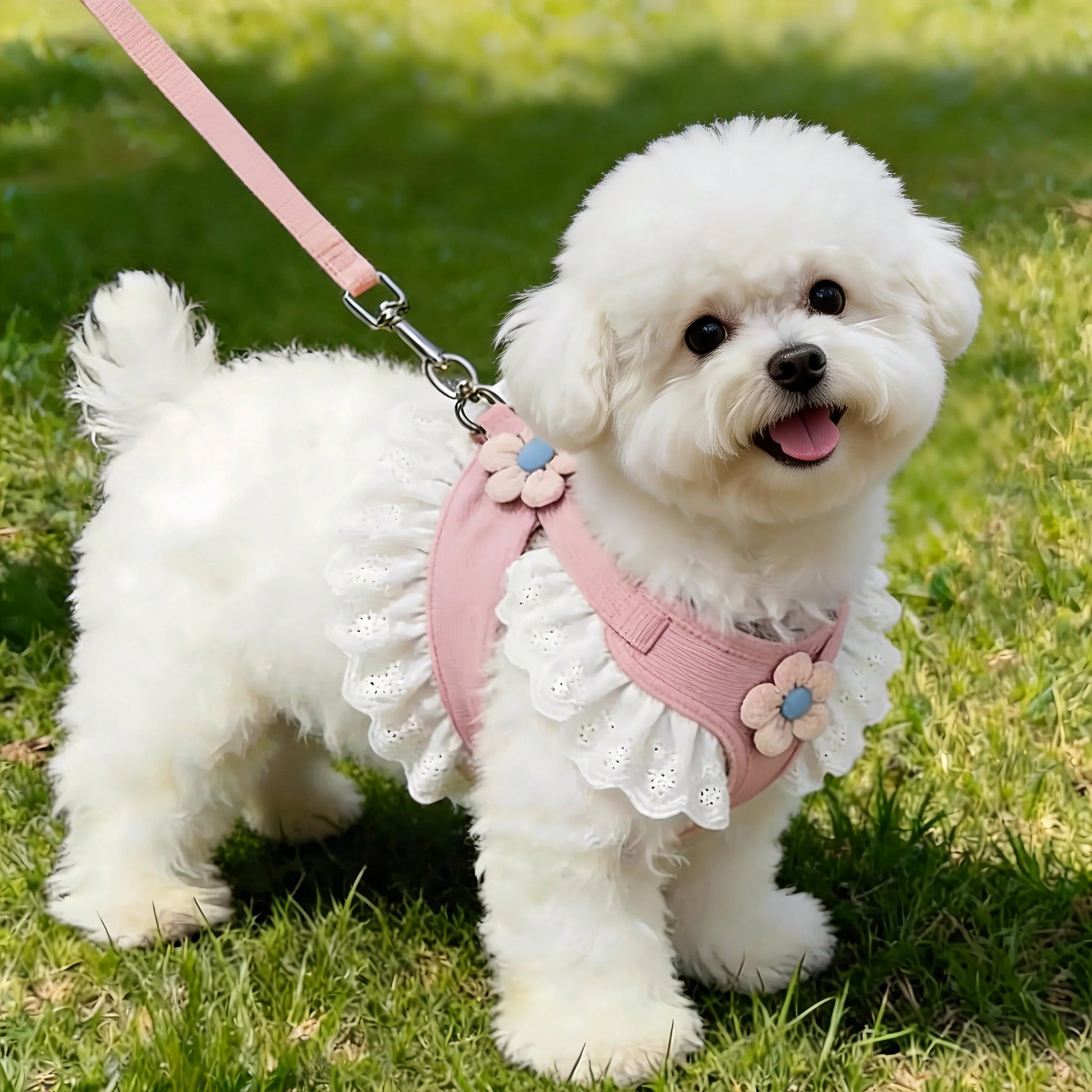 Multicolor floral lace pet harness dress with leash, ruffle edge princess vest outfit for small dogs and cats
