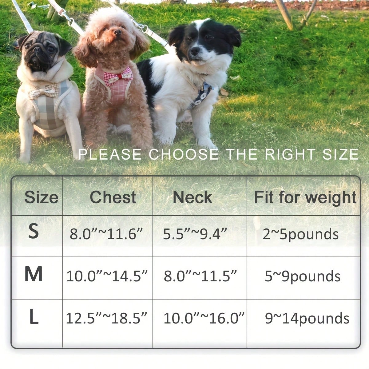 LocalPet Dog And Cat Harness Vest, Comfortable Mesh Dog Harness And Leash Set - Breathable, Reflective, Adjustable Size Pet Vest - Perfect For Puppies And Kittens