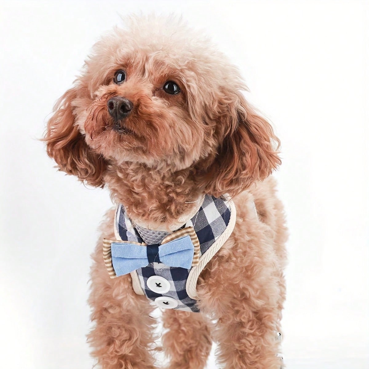 LocalPet Dog And Cat Harness Vest, Comfortable Mesh Dog Harness And Leash Set - Breathable, Reflective, Adjustable Size Pet Vest - Perfect For Puppies And Kittens