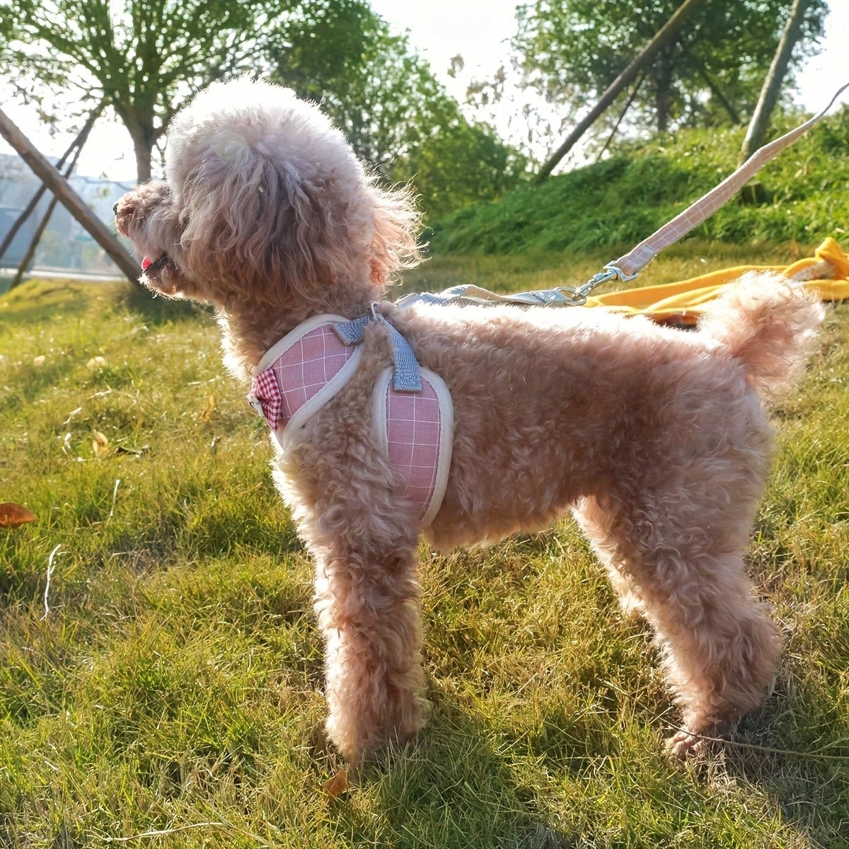LocalPet Dog And Cat Harness Vest, Comfortable Mesh Dog Harness And Leash Set - Breathable, Reflective, Adjustable Size Pet Vest - Perfect For Puppies And Kittens