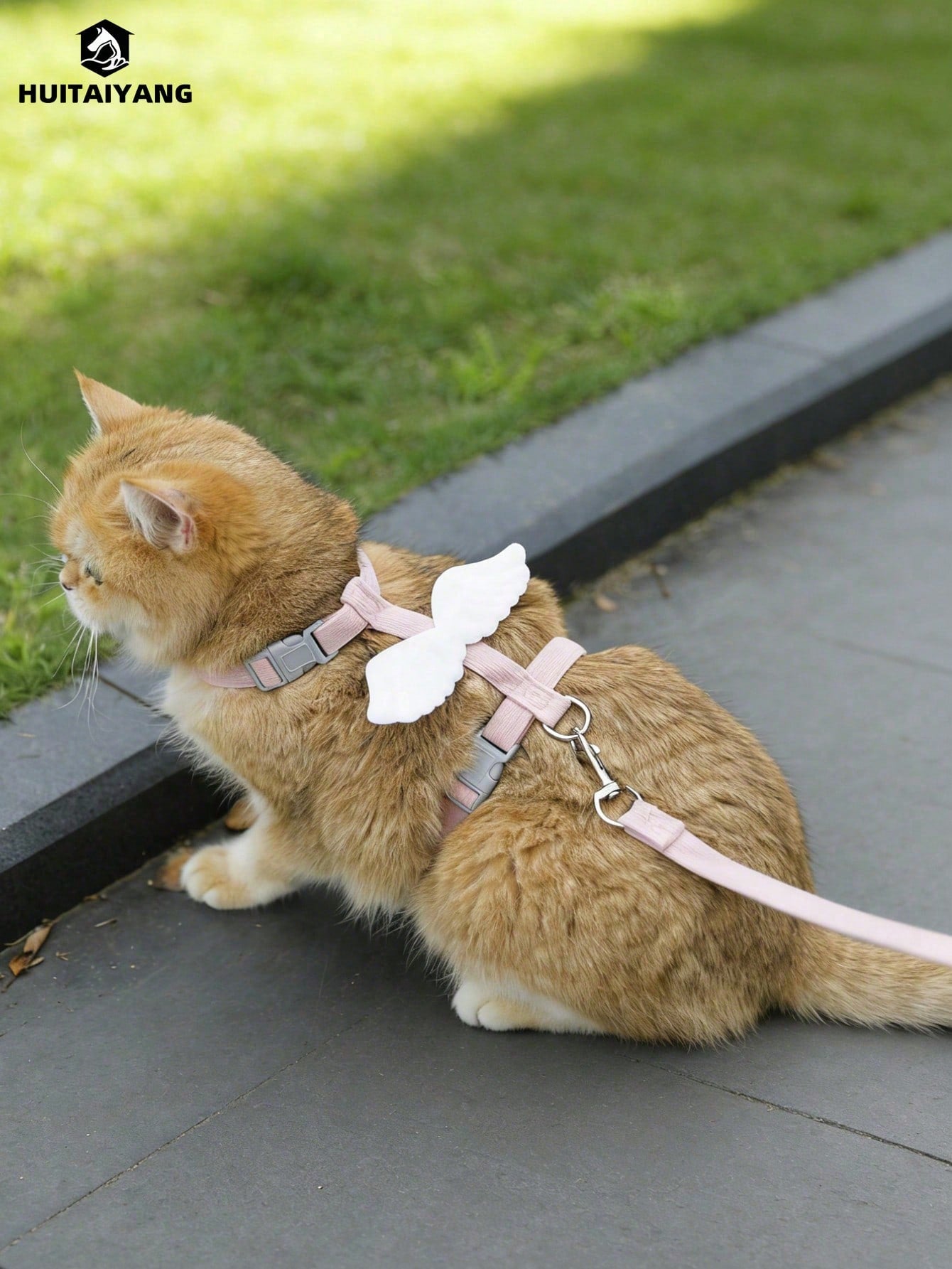 2-piece X-shape polyester pet leash and harness set with angel wing chest strap decor for cats and small to medium dogs