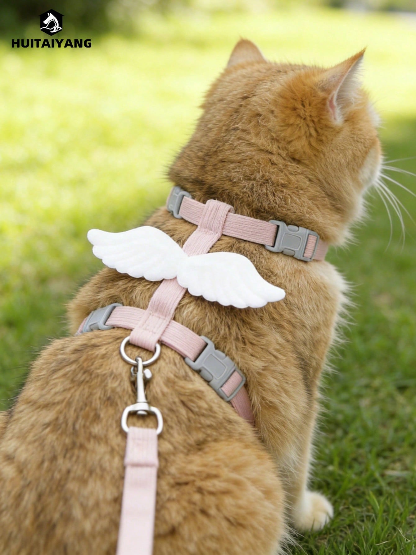 2-piece X-shape polyester pet leash and harness set with angel wing chest strap decor for cats and small to medium dogs
