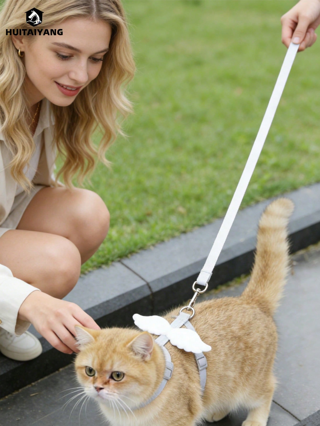 2-piece X-shape polyester pet leash and harness set with angel wing chest strap decor for cats and small to medium dogs