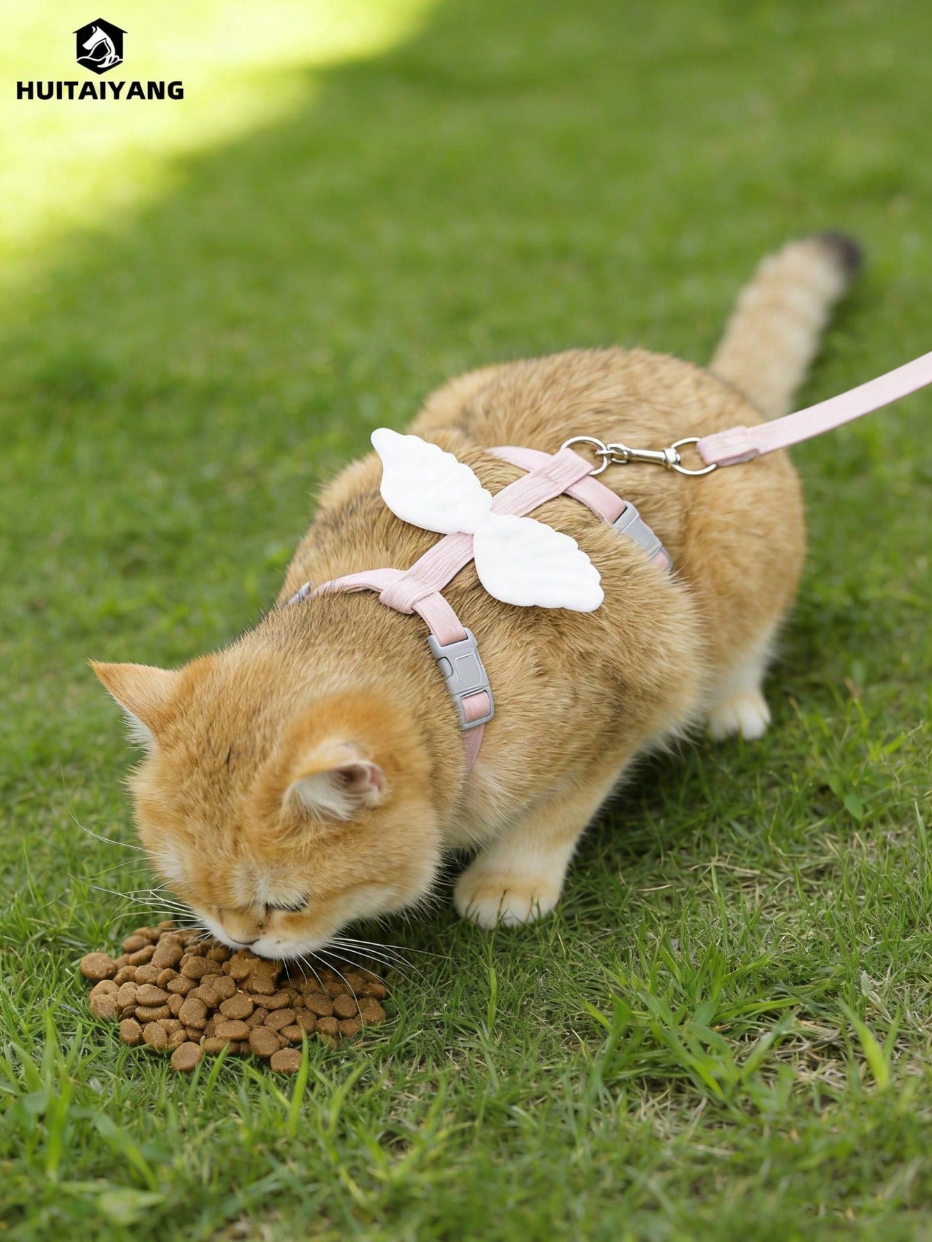 2-piece X-shape polyester pet leash and harness set with angel wing chest strap decor for cats and small to medium dogs