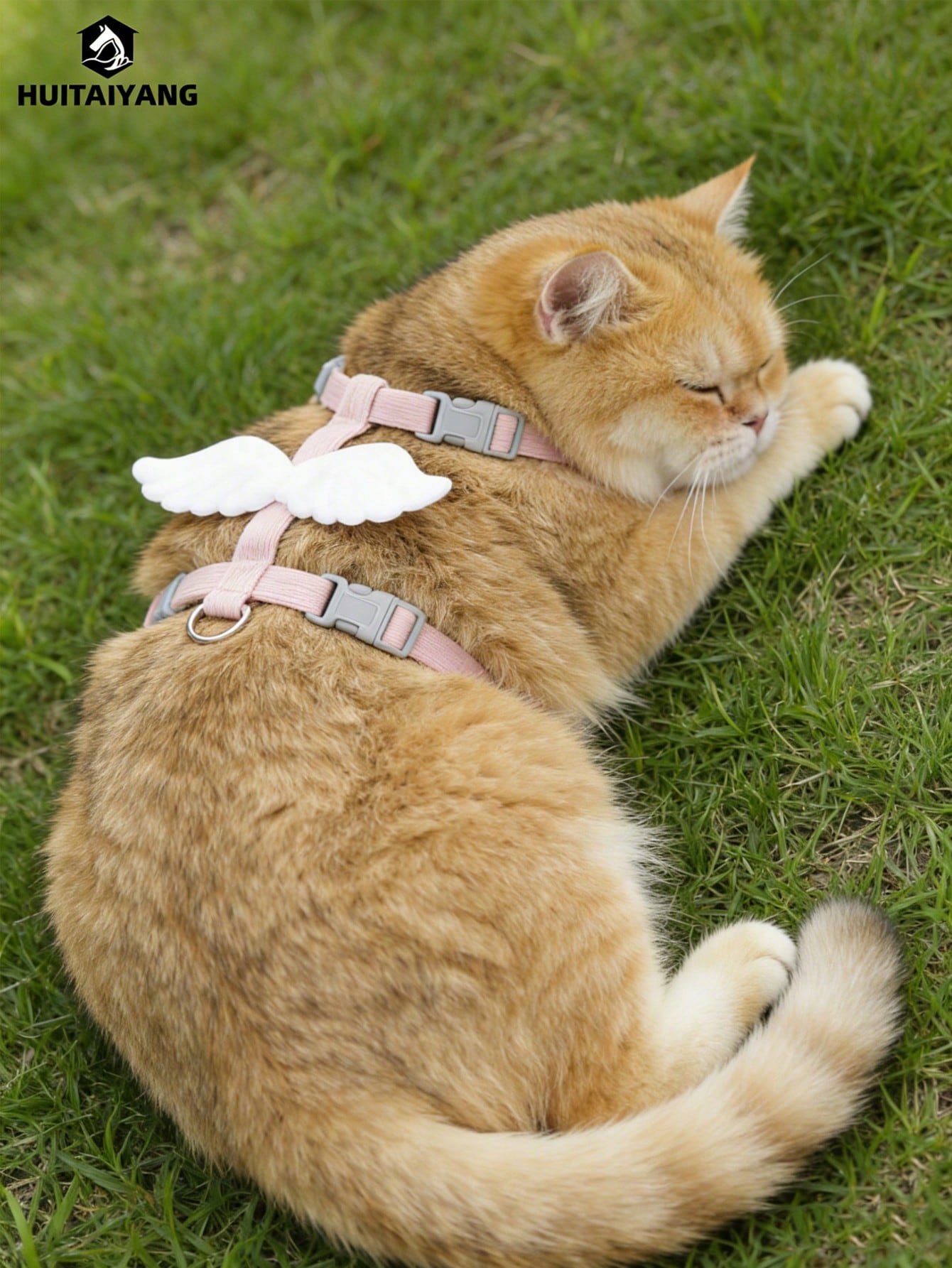 2-piece X-shape polyester pet leash and harness set with angel wing chest strap decor for cats and small to medium dogs