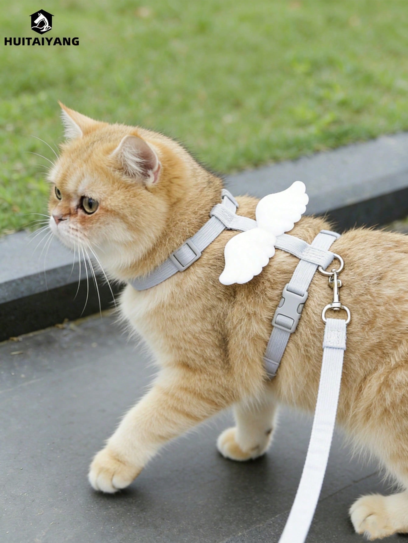 2-piece X-shape polyester pet leash and harness set with angel wing chest strap decor for cats and small to medium dogs