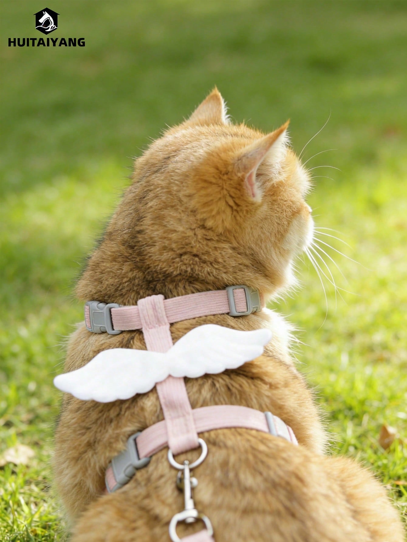 2-piece X-shape polyester pet leash and harness set with angel wing chest strap decor for cats and small to medium dogs