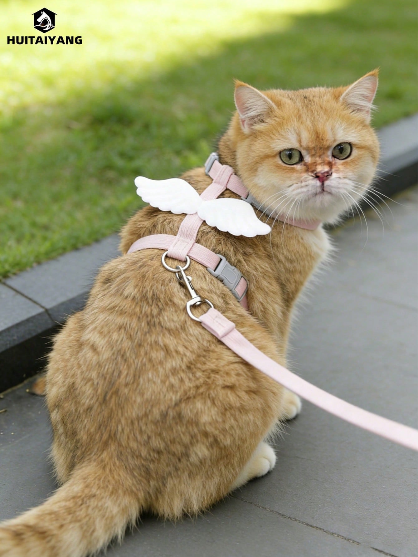 2-piece X-shape polyester pet leash and harness set with angel wing chest strap decor for cats and small to medium dogs