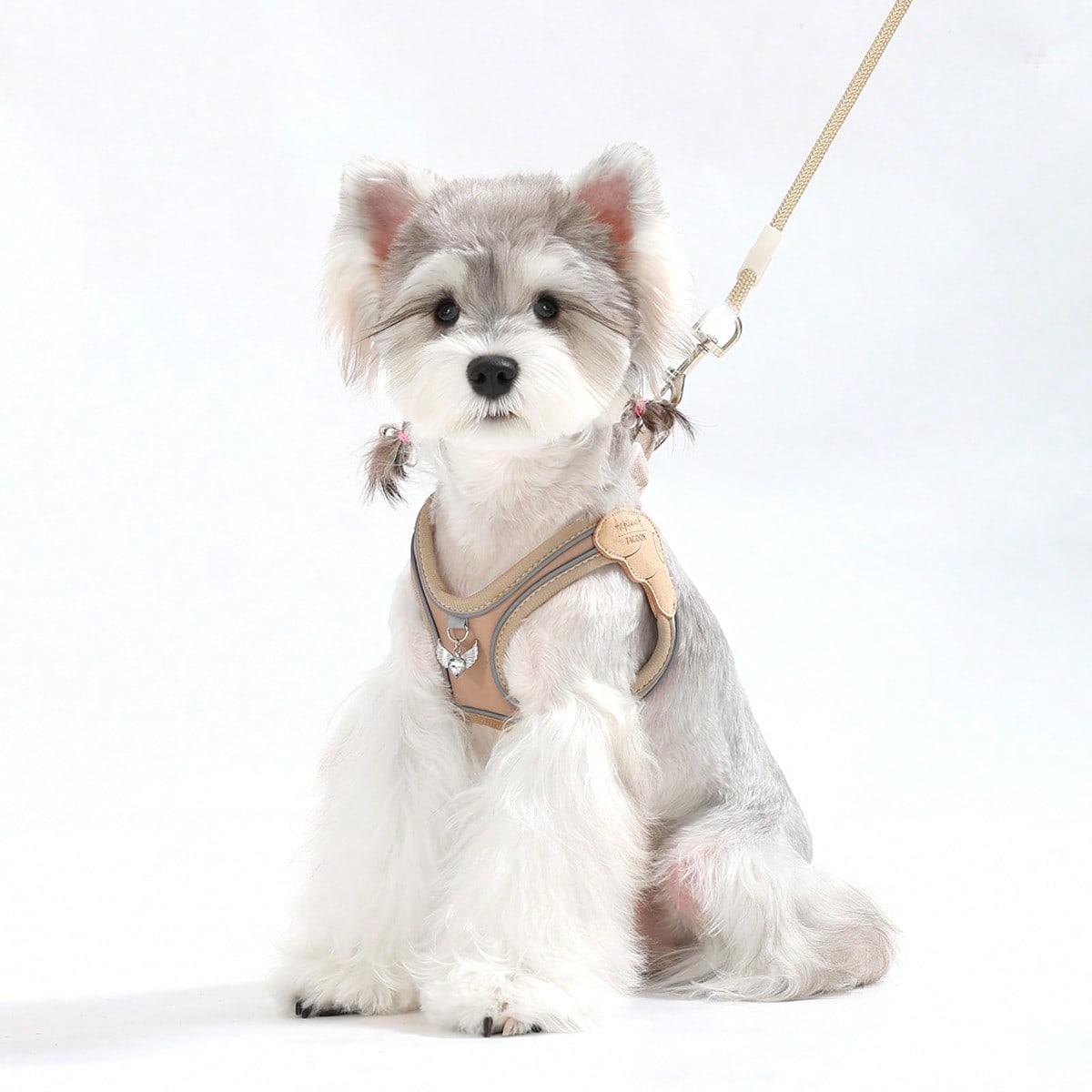 Multicolor colorblock step-in dog harness made of polyester breathable mesh with reflective safety details for small dogs and cats