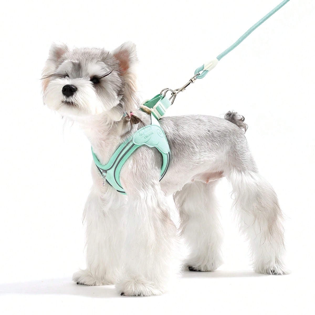 Multicolor colorblock step-in dog harness made of polyester breathable mesh with reflective safety details for small dogs and cats