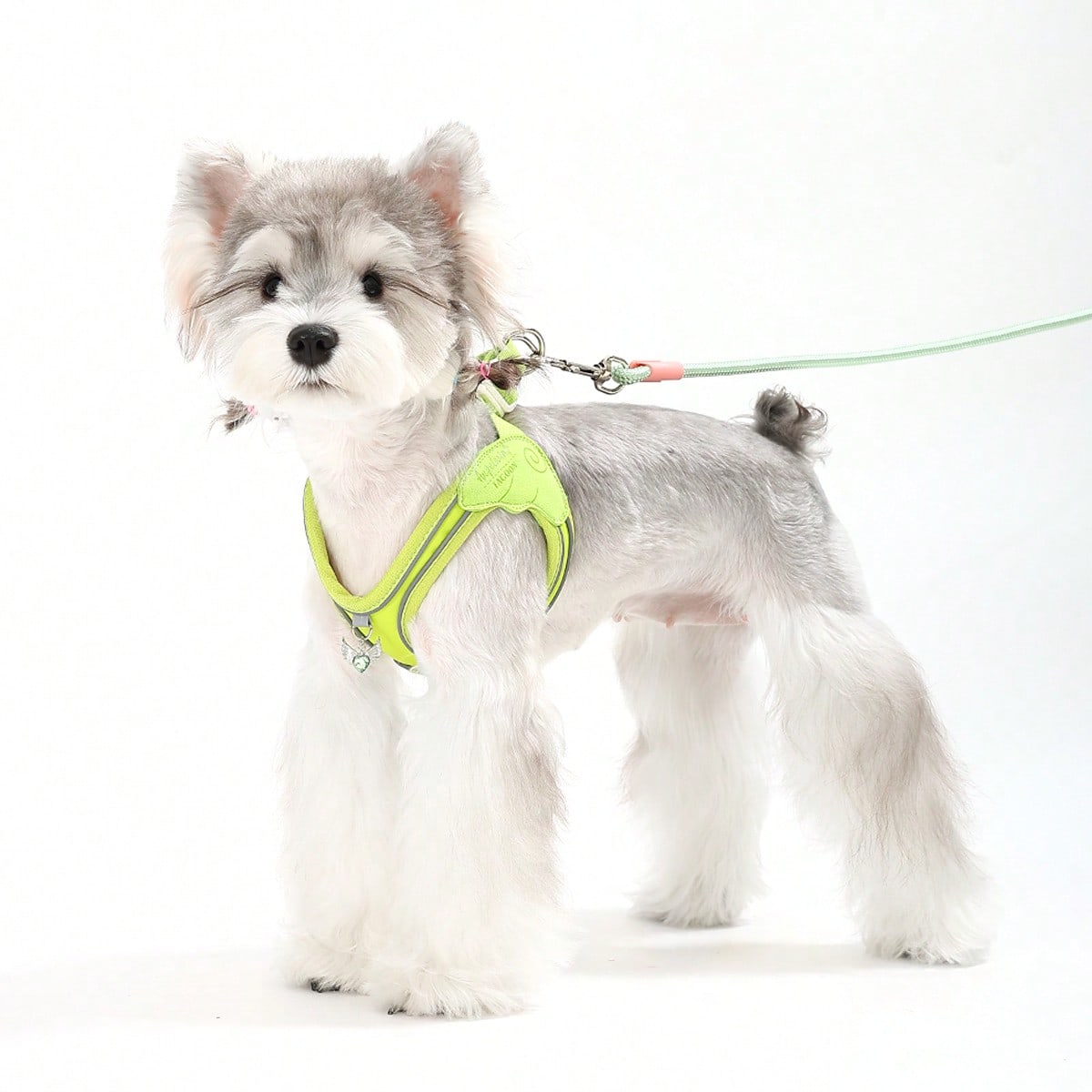 Multicolor colorblock step-in dog harness made of polyester breathable mesh with reflective safety details for small dogs and cats
