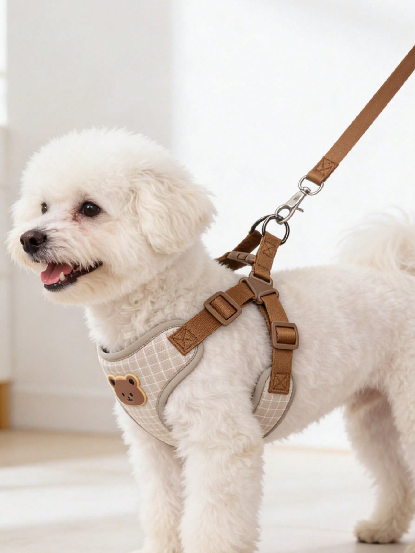 Multicolor polyester dog leash and collar set with plaid teddy bear pattern for small dogs and outdoor walking