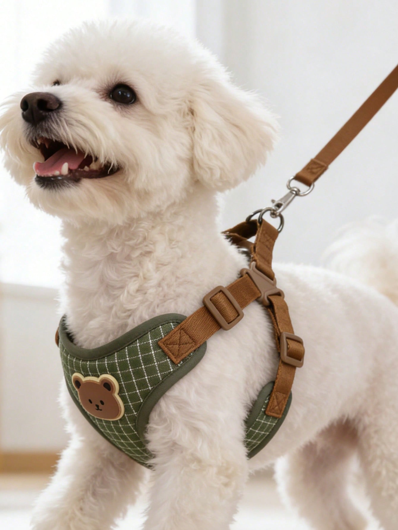 Multicolor polyester dog leash and collar set with plaid teddy bear pattern for small dogs and outdoor walking