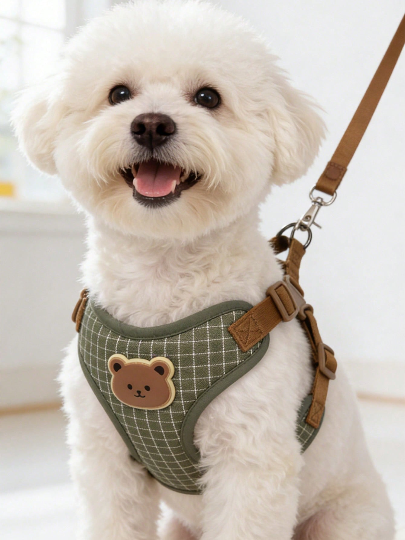 Multicolor polyester dog leash and collar set with plaid teddy bear pattern for small dogs and outdoor walking