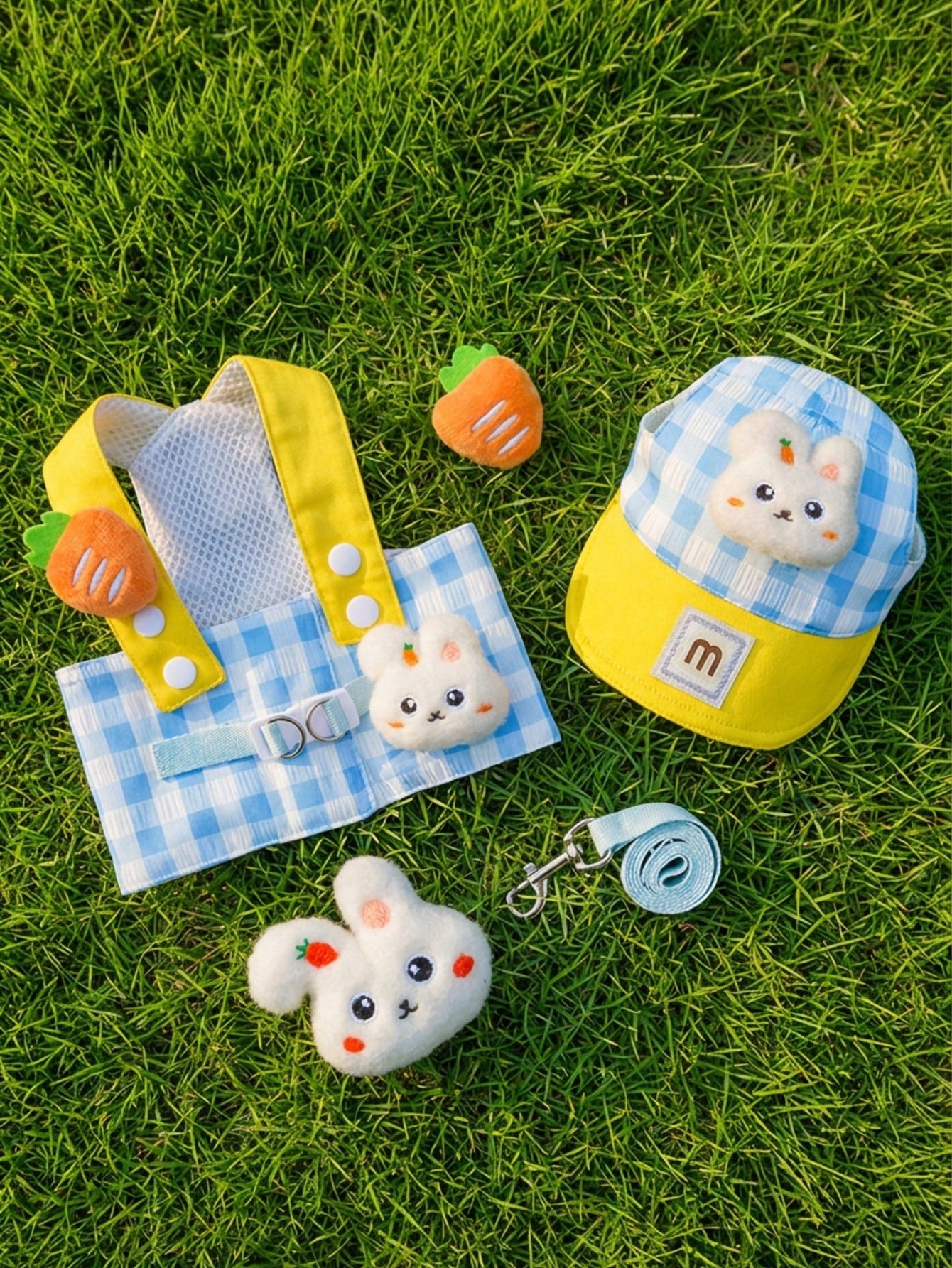 Multicolor polyester lace pet carrier and outdoor wear for cats and dogs