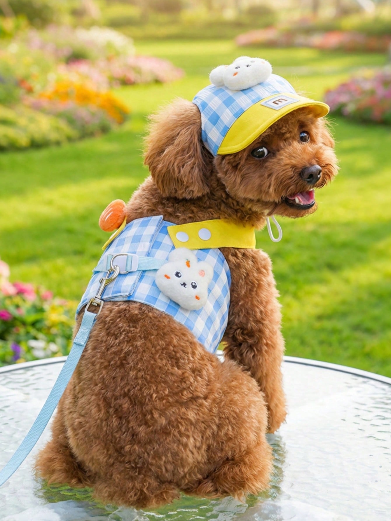 Multicolor polyester lace pet carrier and outdoor wear for cats and dogs