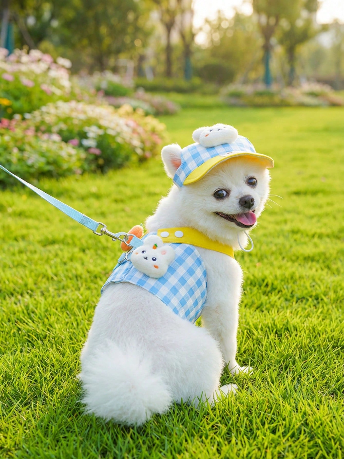Multicolor polyester lace pet carrier and outdoor wear for cats and dogs
