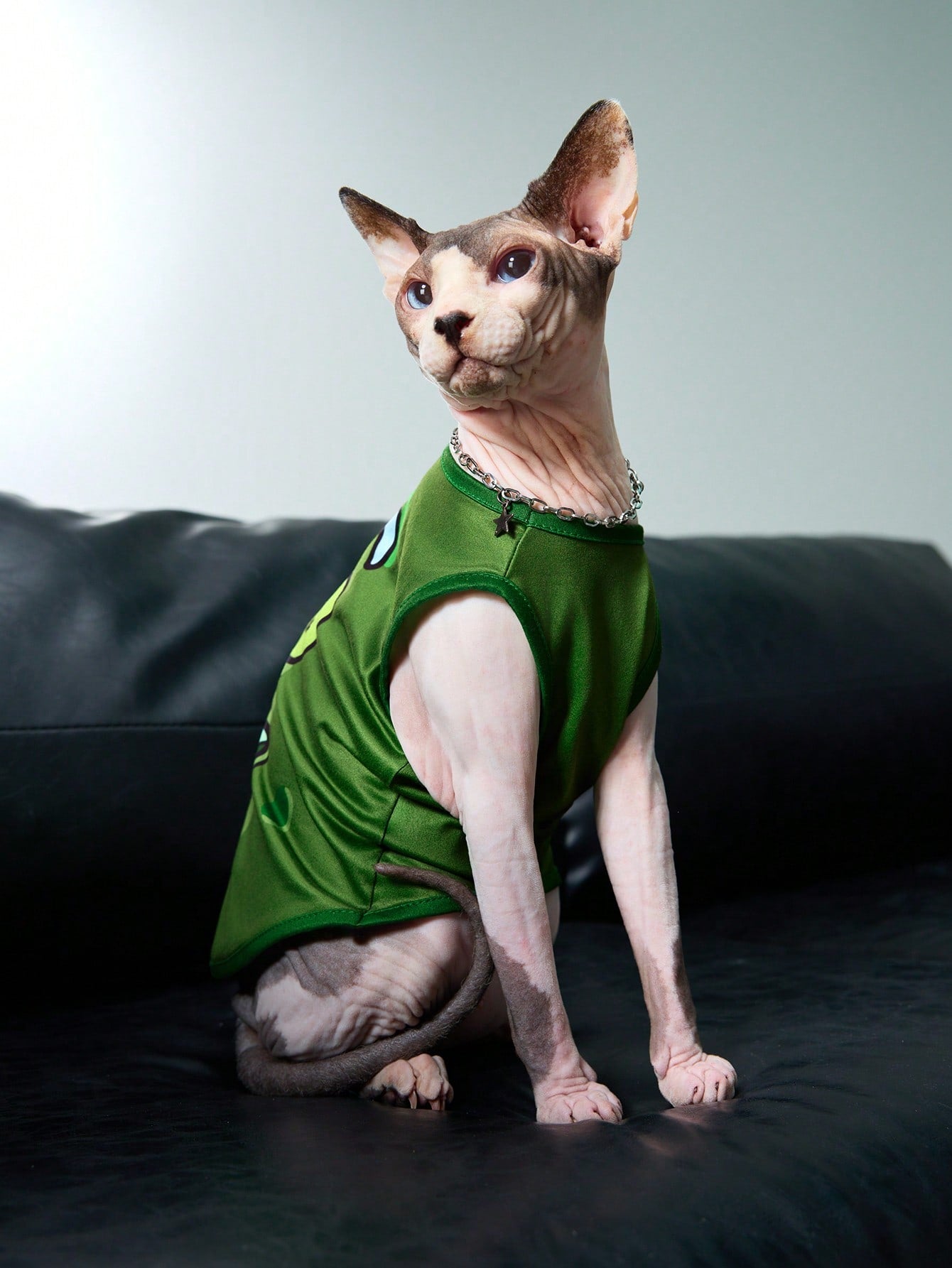 TEENAGE MUTANT NINJA TURTLES | Cartoon Turtle Shell Print Pet Vest