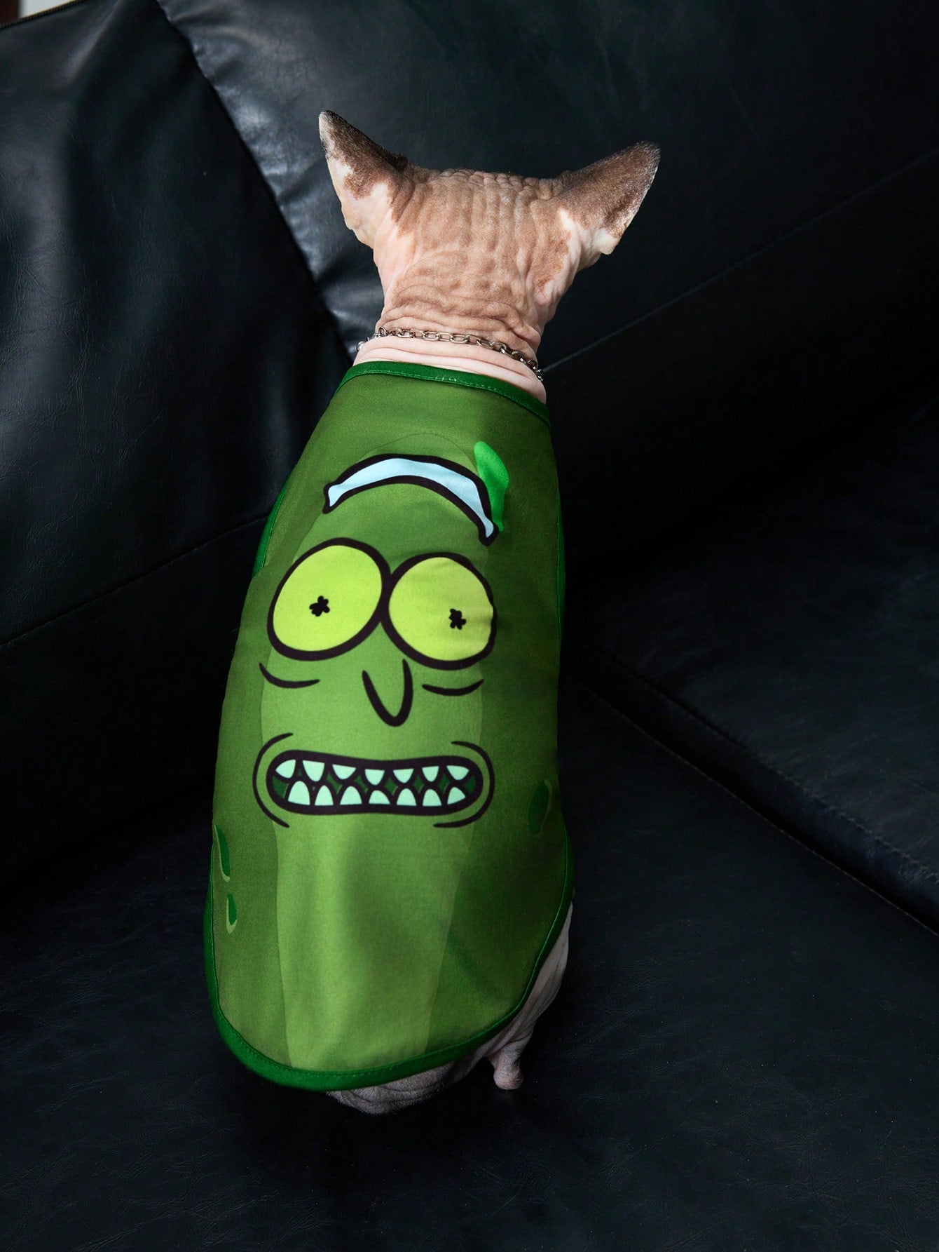 TEENAGE MUTANT NINJA TURTLES | Cartoon Turtle Shell Print Pet Vest