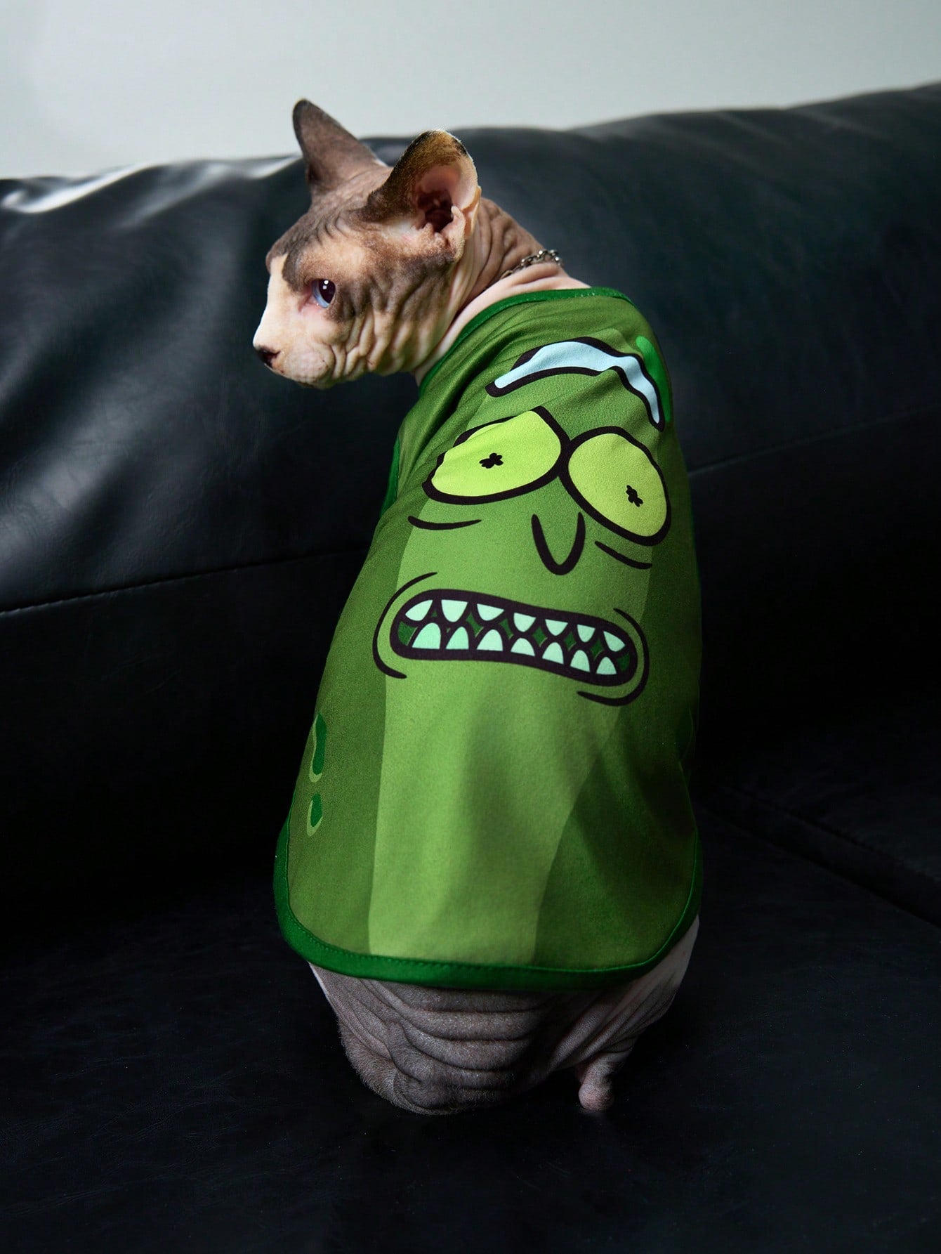 TEENAGE MUTANT NINJA TURTLES | Cartoon Turtle Shell Print Pet Vest