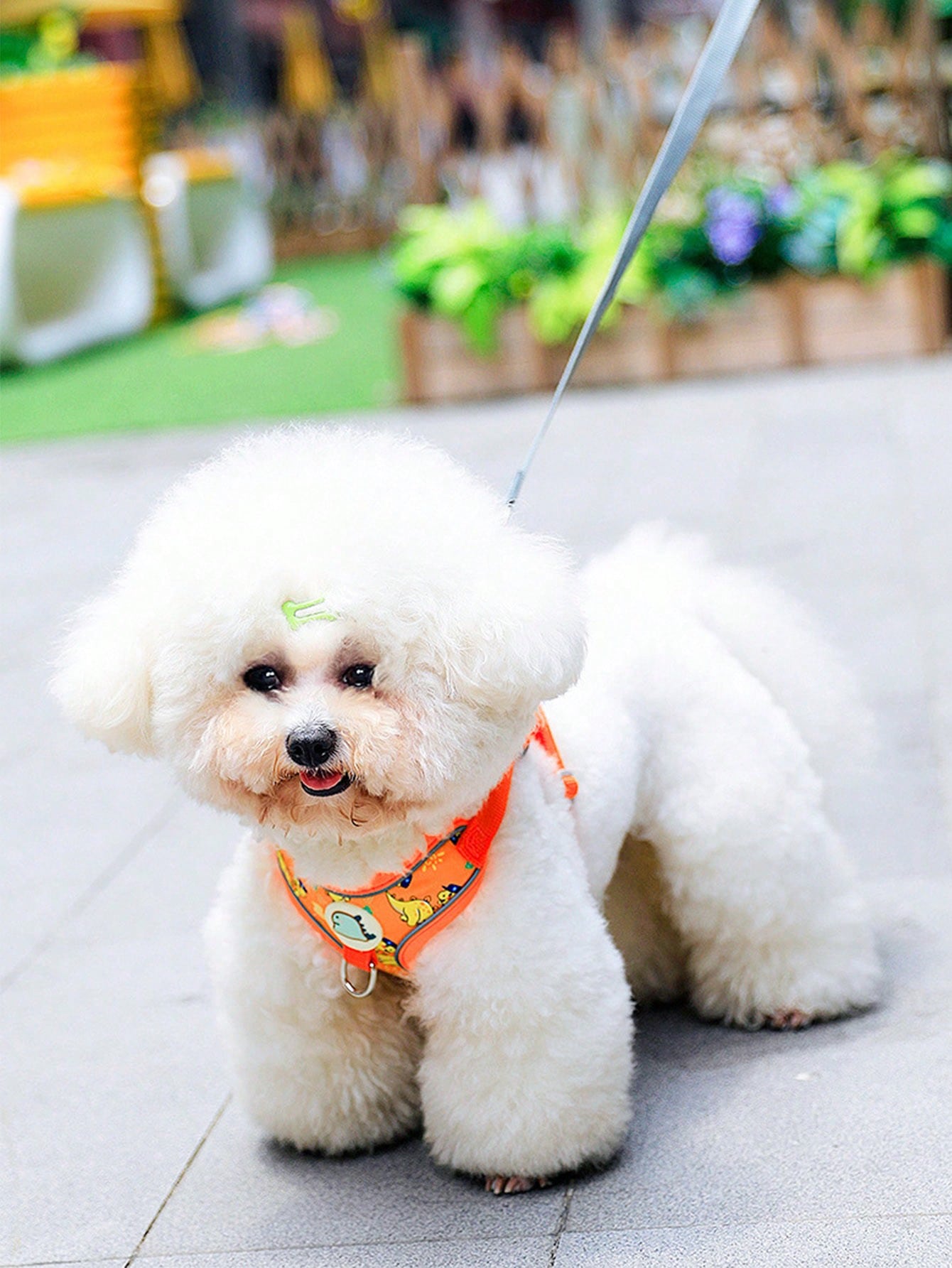 Multicolor polyester pet dog harness and leash set with cartoon dinosaur pattern for small and medium cats and dogs outdoors