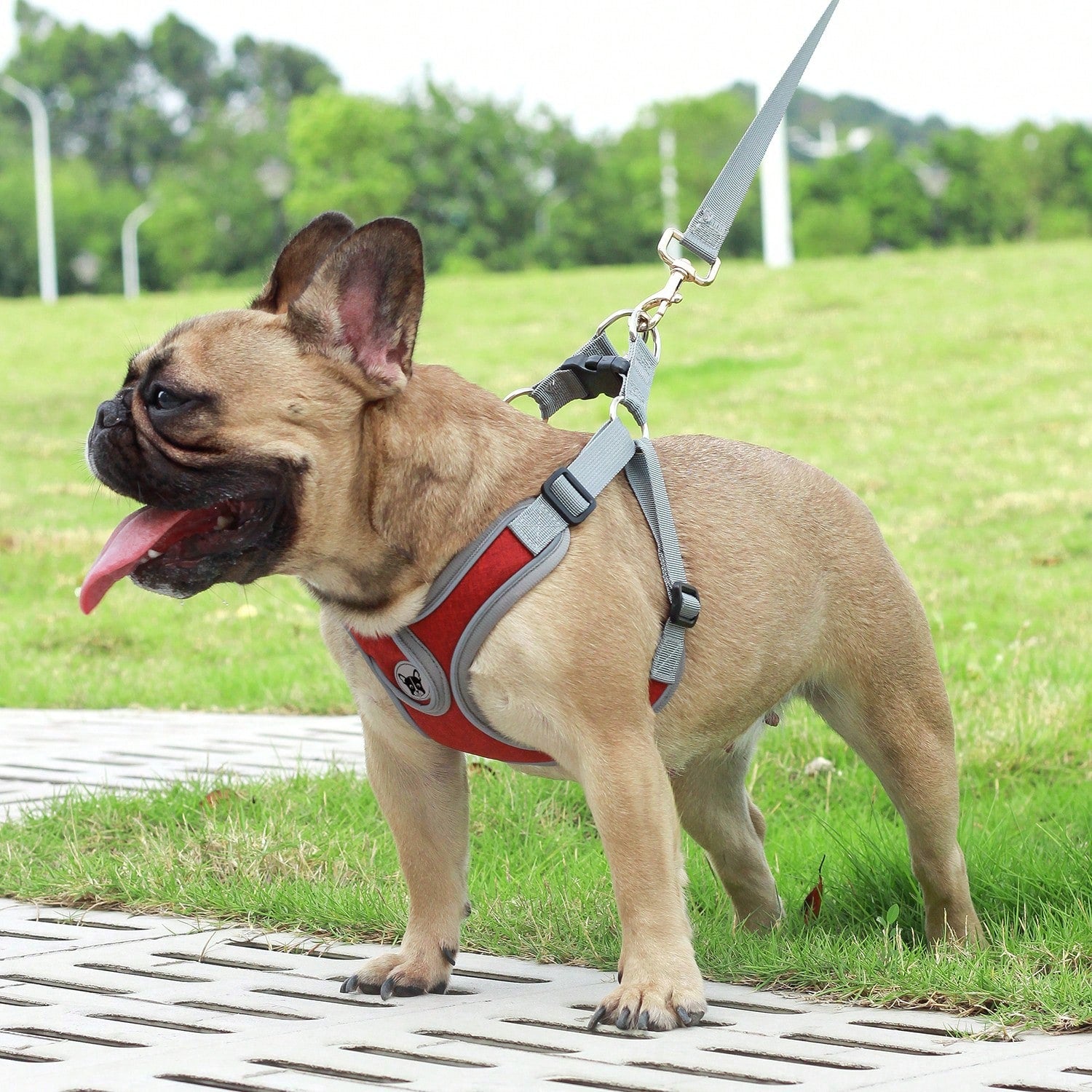 Adjustable padded dog harness set with leash in a reflective vest style for small and medium dogs, polyester colorblock design