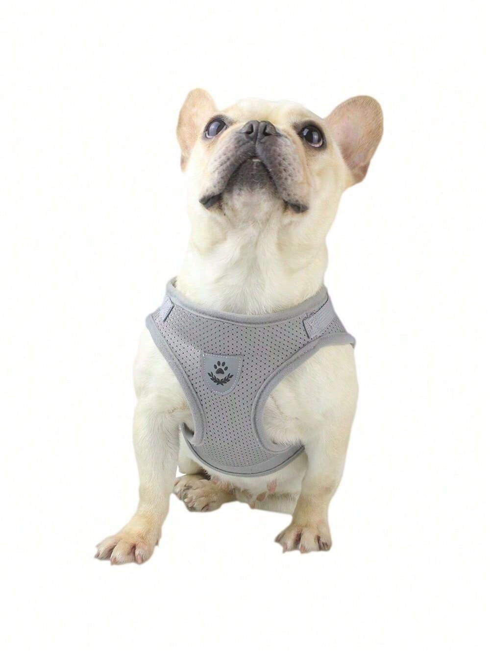 New High-Quality Patterned Dog Harness Set With Adjustable Dog Leash For Outdoor Walking