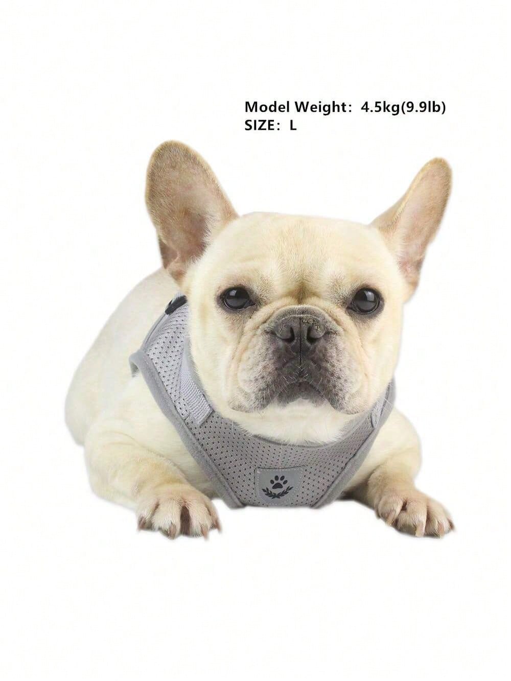 New High-Quality Patterned Dog Harness Set With Adjustable Dog Leash For Outdoor Walking