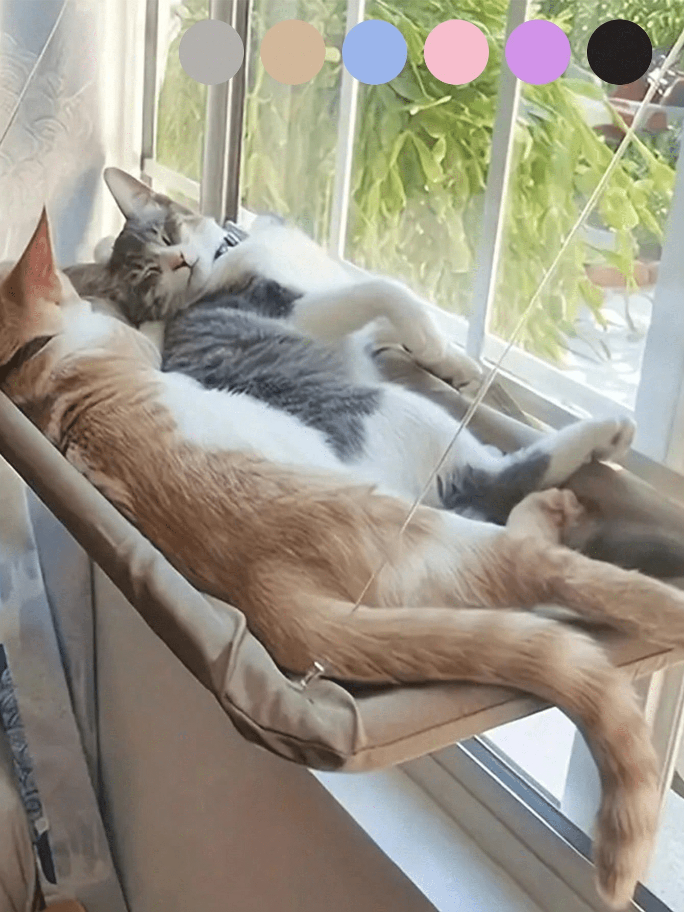 Multicolor hanging cat window hammock bed with cozy blanket mounted on a sunny window seat.