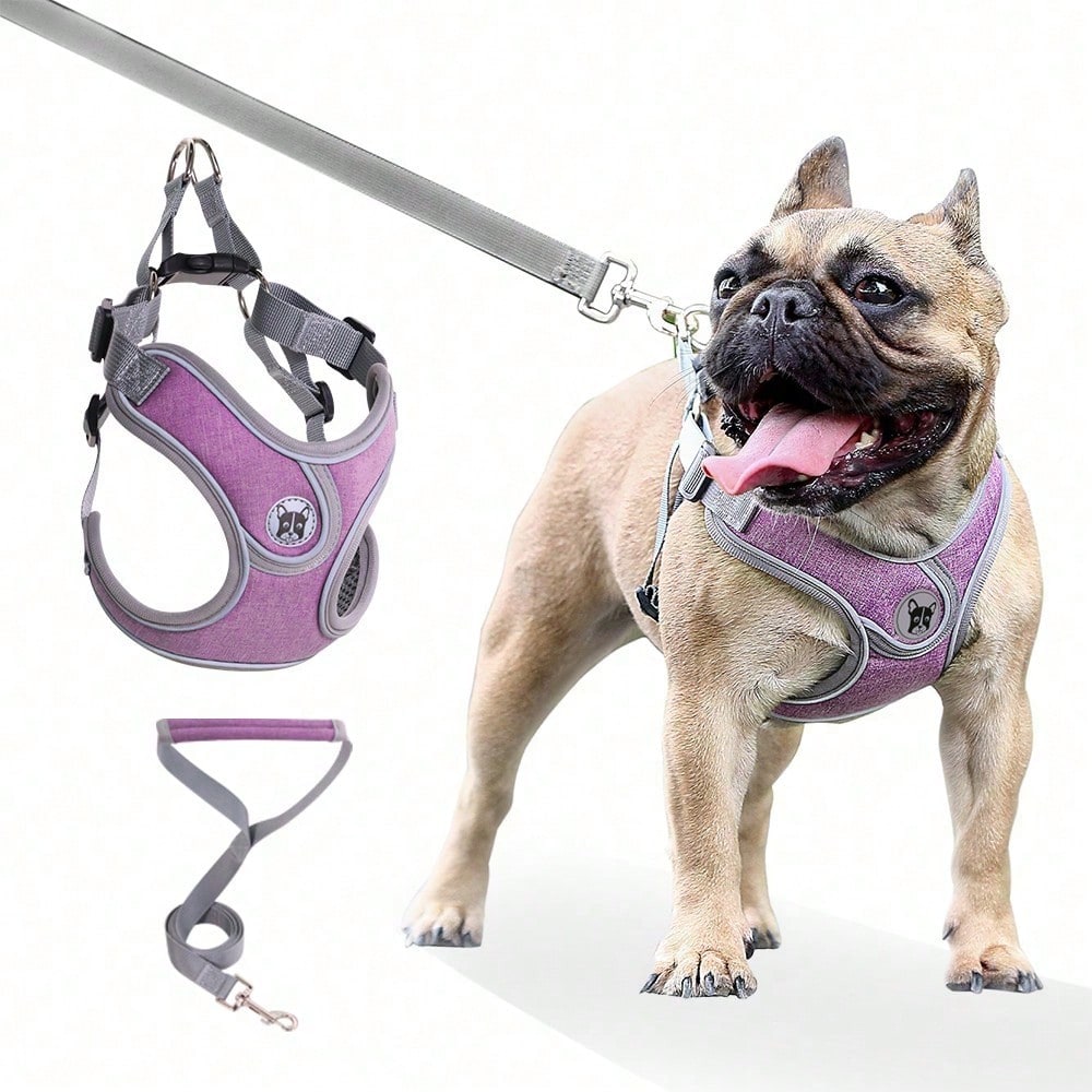 Adjustable padded dog harness set with leash in a reflective vest style for small and medium dogs, polyester colorblock design