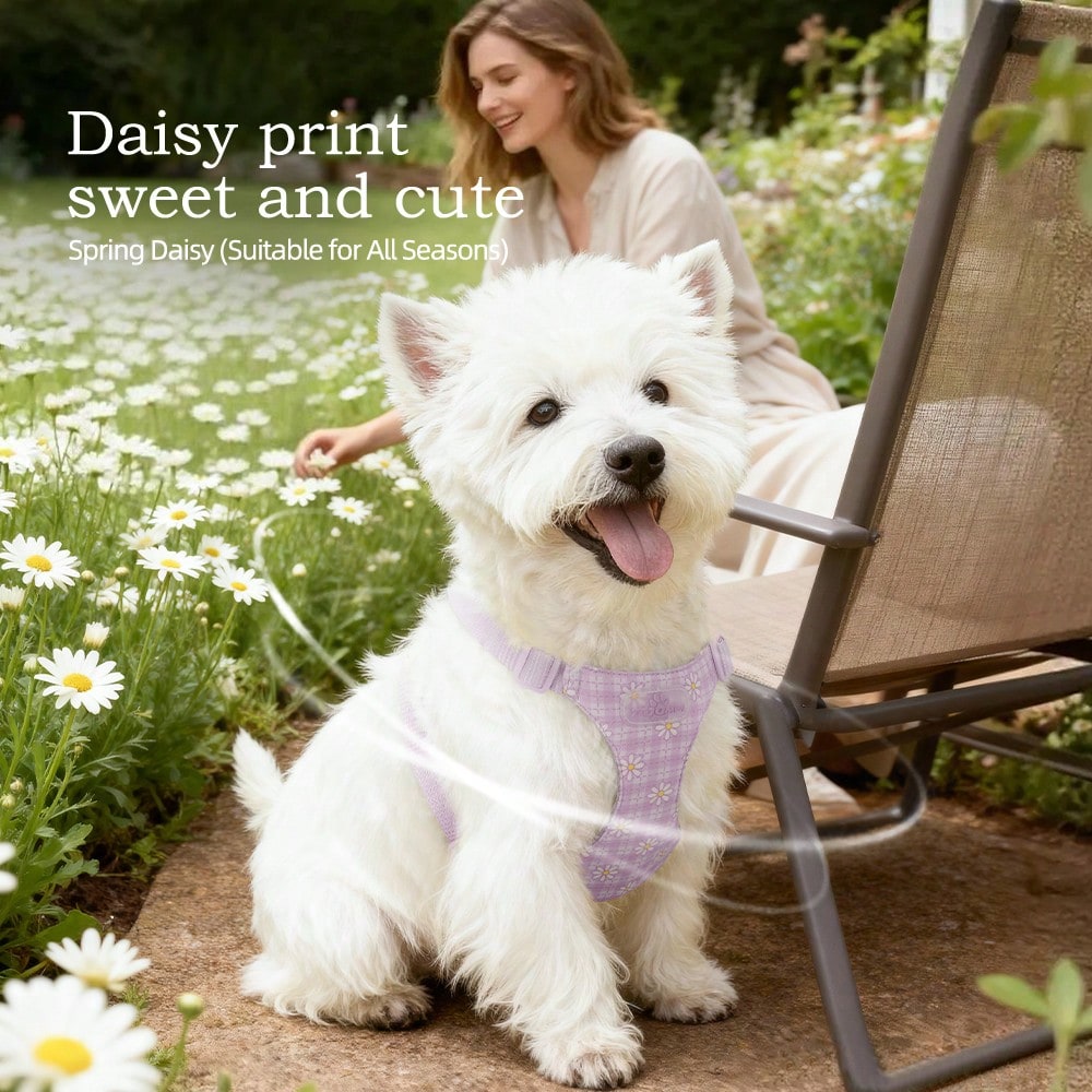Baby pink small dog harness and leash set with daisy plant pattern, adjustable buckles, and lightweight polyester design for puppies and small breeds