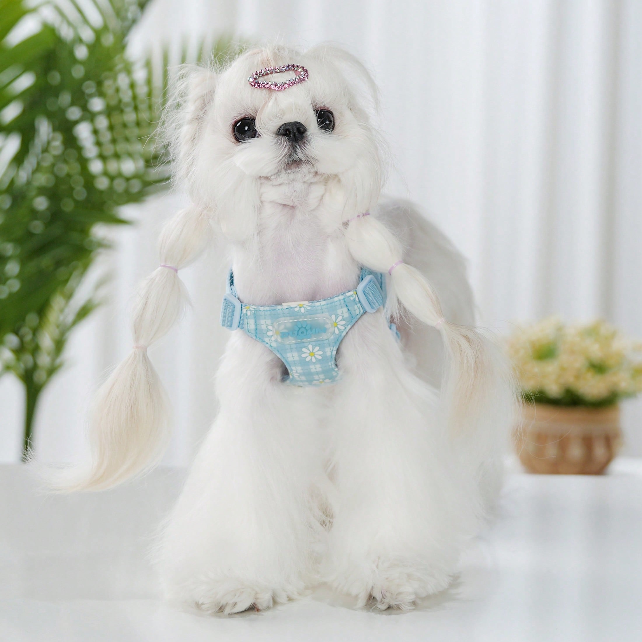 Baby pink small dog harness and leash set with daisy plant pattern, adjustable buckles, and lightweight polyester design for puppies and small breeds