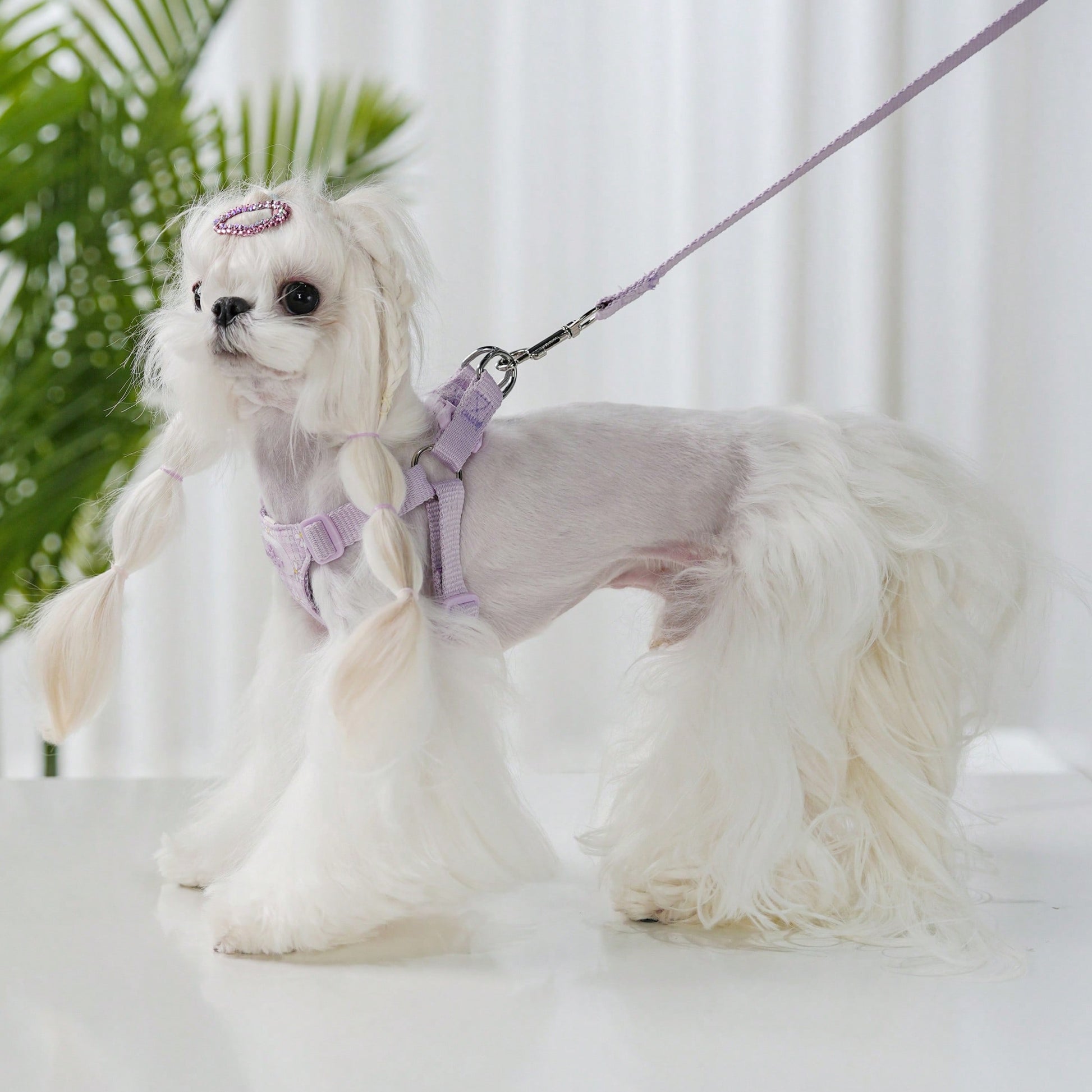 Baby pink small dog harness and leash set with daisy plant pattern, adjustable buckles, and lightweight polyester design for puppies and small breeds