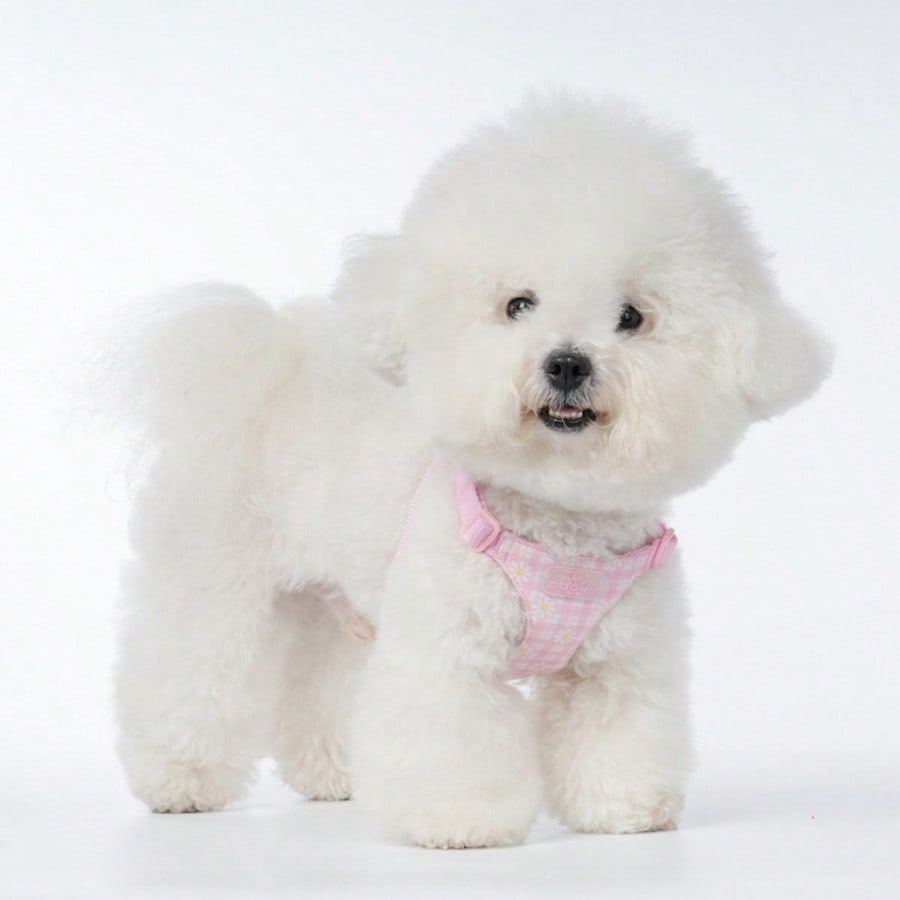 Pink plaid pet harness and leash set with daisy detail and adjustable buckles for cats and small dogs
