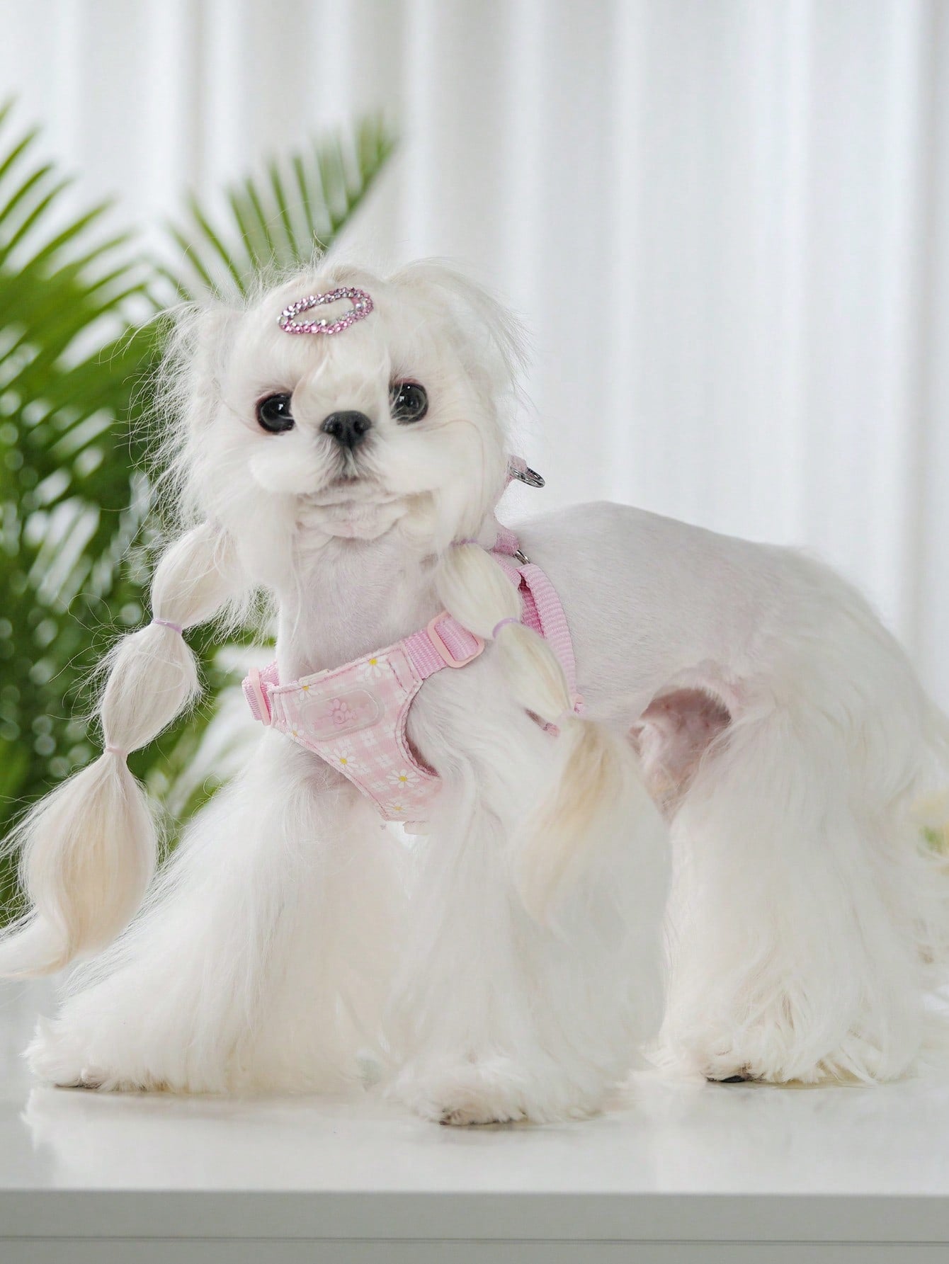 Pink plaid pet harness and leash set with daisy detail and adjustable buckles for cats and small dogs