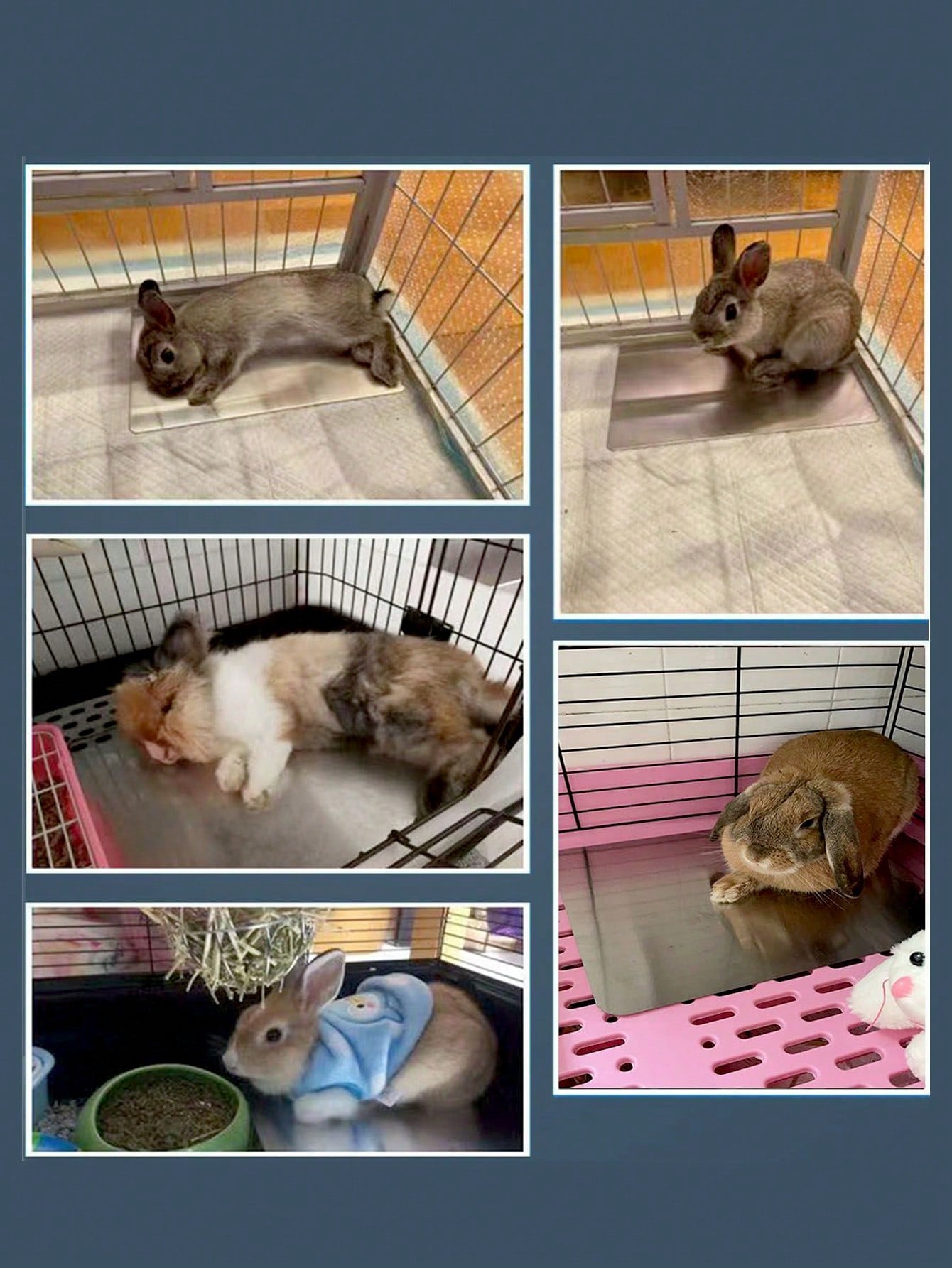 Rabbit Cooling Mat, Small Pet Hamster Heat Relief Cooling Pad, Aluminum Material, Suitable For Rabbits, Hamsters, Small Dogs/Cats, Effective Cooling, Summer Rabbit Lying Mat, Dog/Cat Cooling Product, Summer Pet Cooling Aluminum Pad
