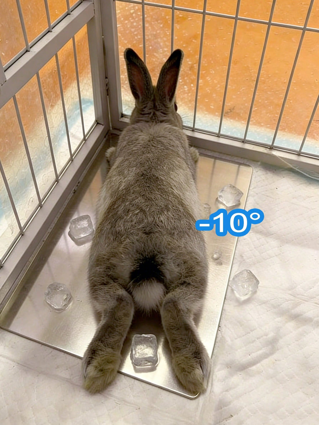 Rabbit Cooling Mat, Small Pet Hamster Heat Relief Cooling Pad, Aluminum Material, Suitable For Rabbits, Hamsters, Small Dogs/Cats, Effective Cooling, Summer Rabbit Lying Mat, Dog/Cat Cooling Product, Summer Pet Cooling Aluminum Pad