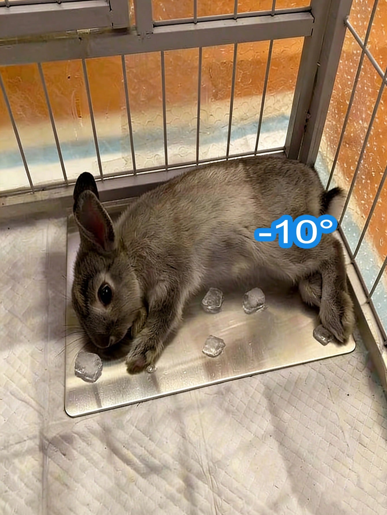 Rabbit Cooling Mat, Small Pet Hamster Heat Relief Cooling Pad, Aluminum Material, Suitable For Rabbits, Hamsters, Small Dogs/Cats, Effective Cooling, Summer Rabbit Lying Mat, Dog/Cat Cooling Product, Summer Pet Cooling Aluminum Pad