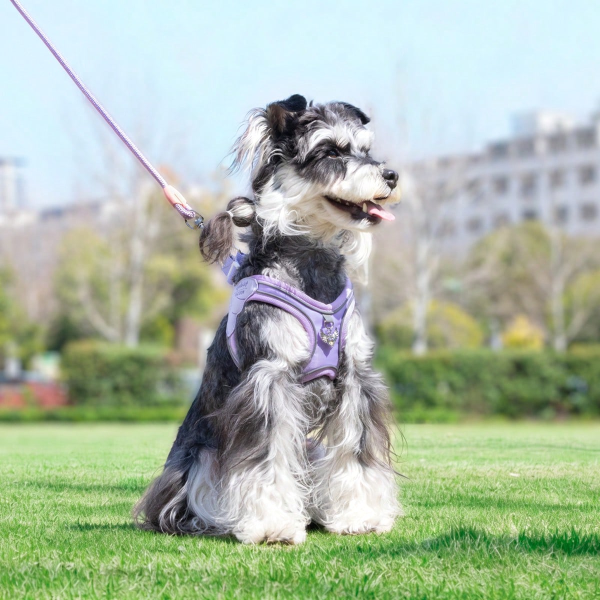 Multicolor colorblock step-in dog harness made of polyester breathable mesh with reflective safety details for small dogs and cats