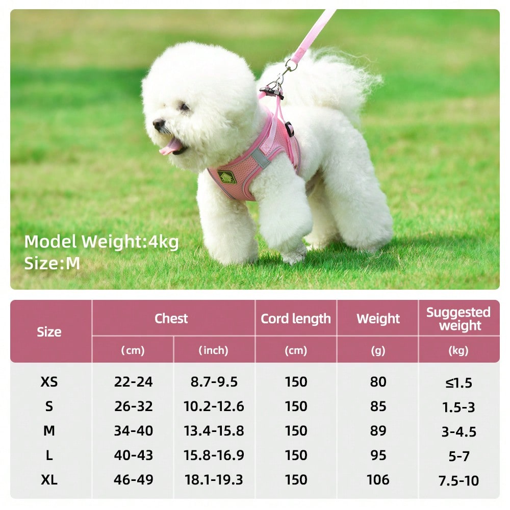 Blue polyester pet chest and back harness with matching leash, breathable mesh fabric, and reflective strips for cats and dogs during outdoor or nighttime walks.